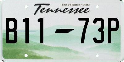 TN license plate B1173P