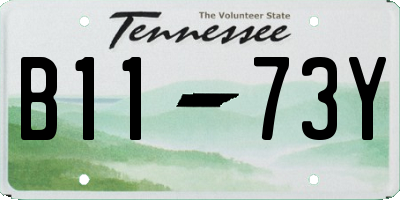 TN license plate B1173Y