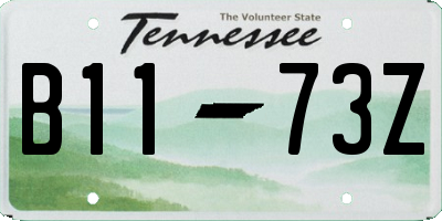 TN license plate B1173Z