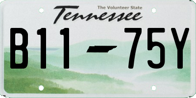 TN license plate B1175Y
