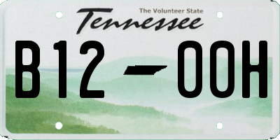 TN license plate B1200H