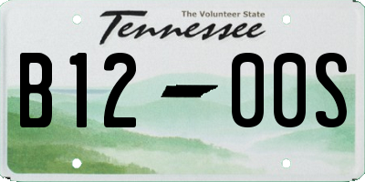 TN license plate B1200S