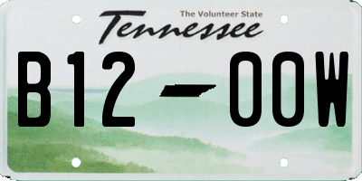 TN license plate B1200W