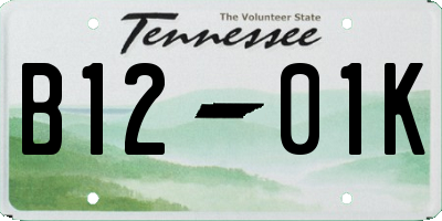 TN license plate B1201K