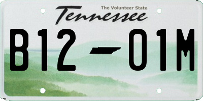 TN license plate B1201M