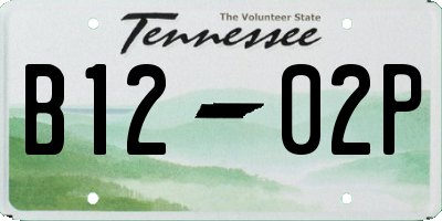 TN license plate B1202P