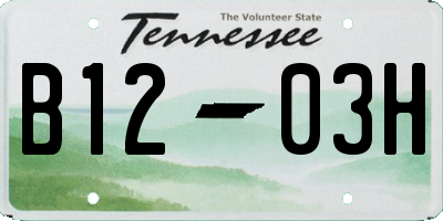 TN license plate B1203H