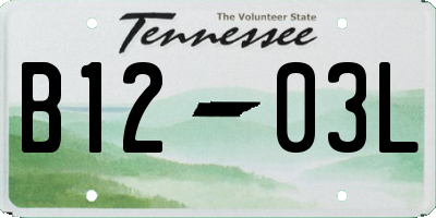 TN license plate B1203L