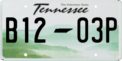TN license plate B1203P