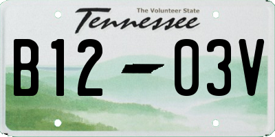 TN license plate B1203V