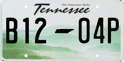 TN license plate B1204P