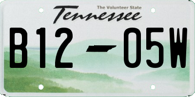 TN license plate B1205W