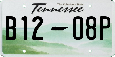 TN license plate B1208P