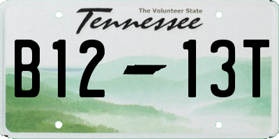 TN license plate B1213T