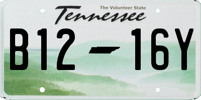 TN license plate B1216Y