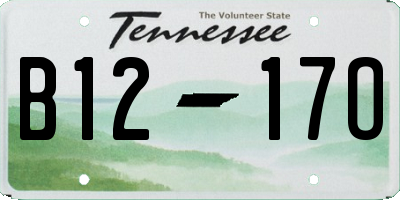TN license plate B1217O