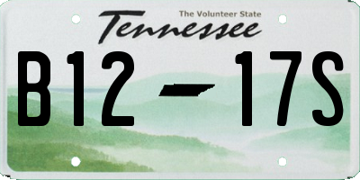 TN license plate B1217S