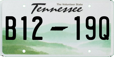 TN license plate B1219Q