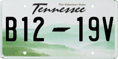 TN license plate B1219V