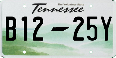 TN license plate B1225Y