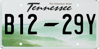 TN license plate B1229Y