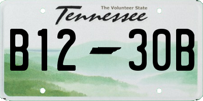TN license plate B1230B