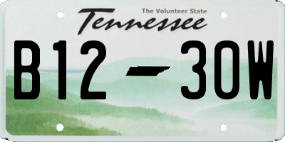 TN license plate B1230W