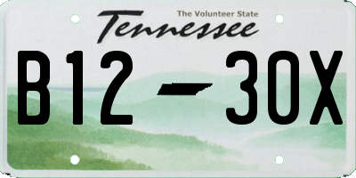 TN license plate B1230X