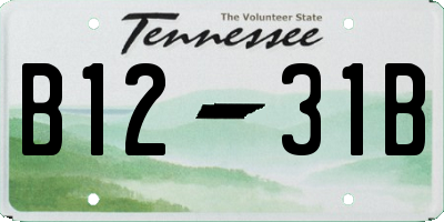 TN license plate B1231B