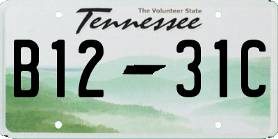 TN license plate B1231C