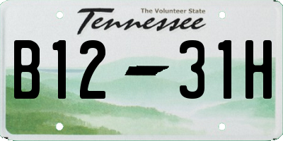 TN license plate B1231H