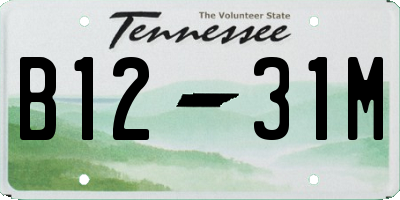 TN license plate B1231M