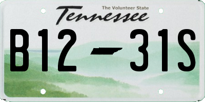 TN license plate B1231S