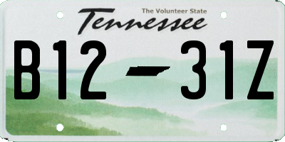 TN license plate B1231Z