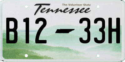 TN license plate B1233H
