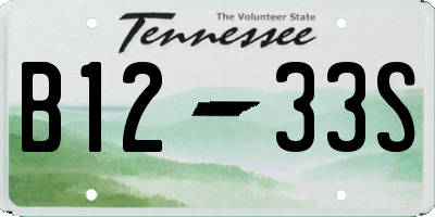 TN license plate B1233S