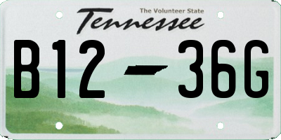 TN license plate B1236G