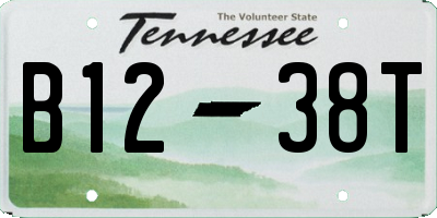 TN license plate B1238T