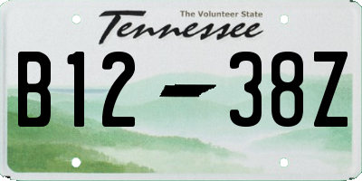 TN license plate B1238Z