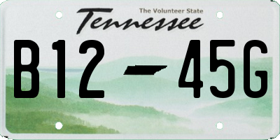 TN license plate B1245G