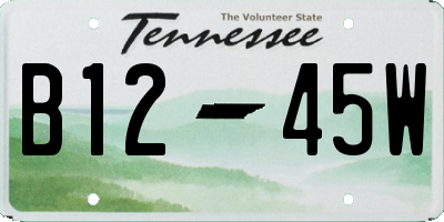 TN license plate B1245W