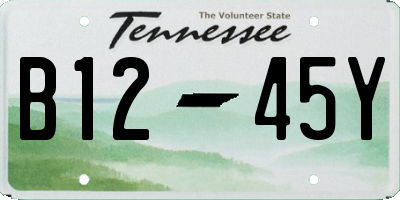 TN license plate B1245Y