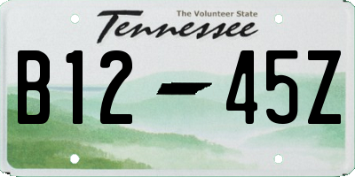 TN license plate B1245Z