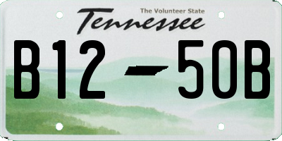 TN license plate B1250B