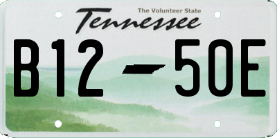 TN license plate B1250E