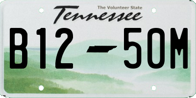 TN license plate B1250M