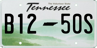 TN license plate B1250S