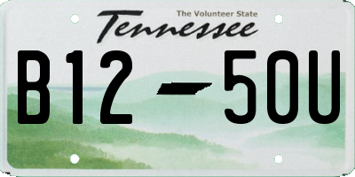 TN license plate B1250U