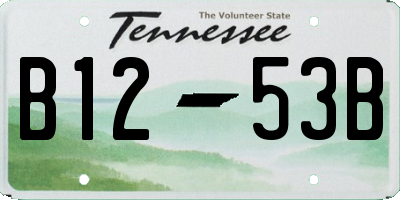TN license plate B1253B