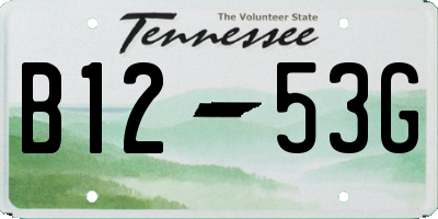 TN license plate B1253G